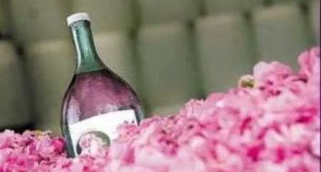 عرقیات گیاهی ایران درانتظاراستاندارد برای ورود به بازارهای جهانی 