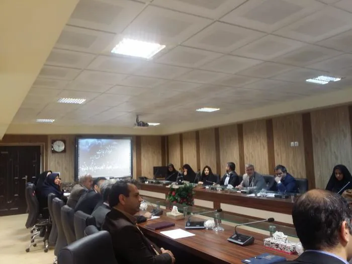 در دومین نشست کمیته راهبردی سلامت سالمندان بر ایجاد زیرساختهای مناسب تاکید شد