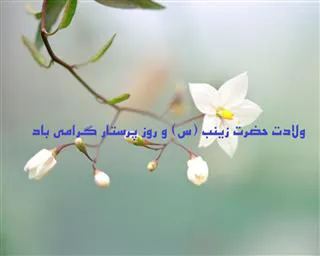 پیام تبریک روز پرستار