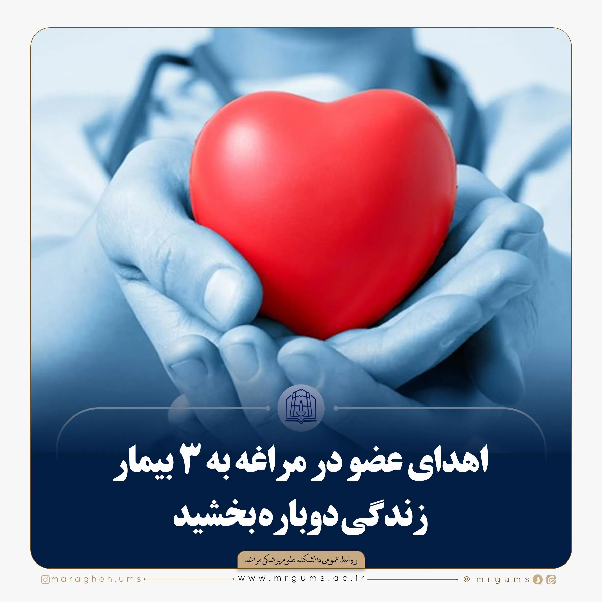 اهدای عضو در مراغه به 3 بیمار زندگی دوباره بخشید 