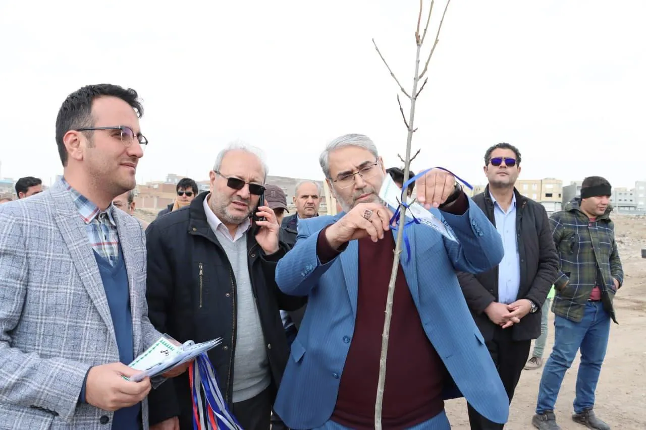  کاشت 12 اصله نهال در مراغه به یاد اهداکنندگان عضو
