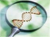 امکان ژن درمانی سرطان با استفاده ازنانوحامل های پلیمری 