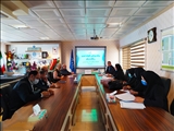 اولین جلسه ستاد اجرایی برنامه پزشک خانواده شهری و نظام ارجاع برگزار شد. 